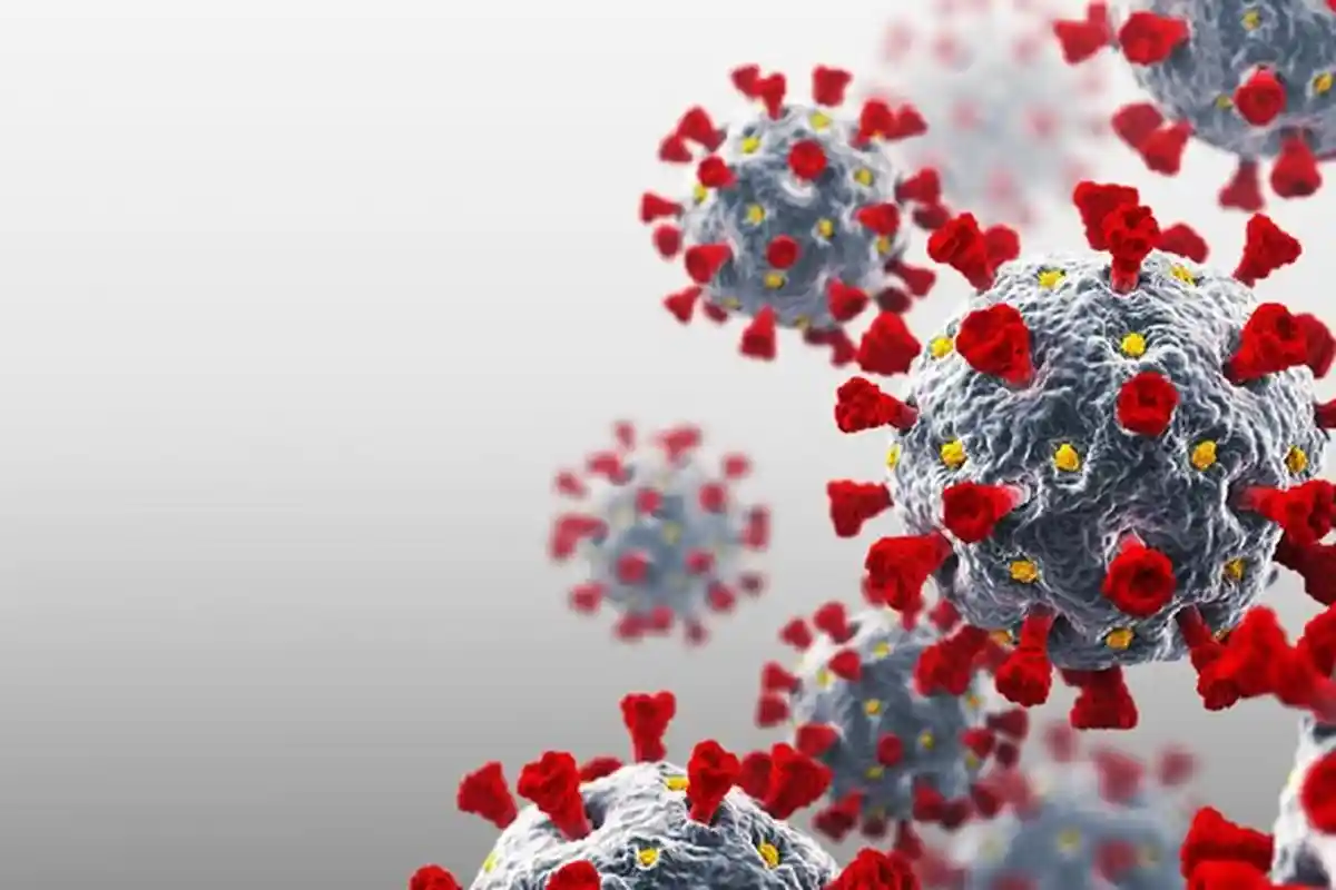 Tiga Warga Kabupaten Bangka Terpapar Covid-19 Hari Ini, 5 Orang Sembuh