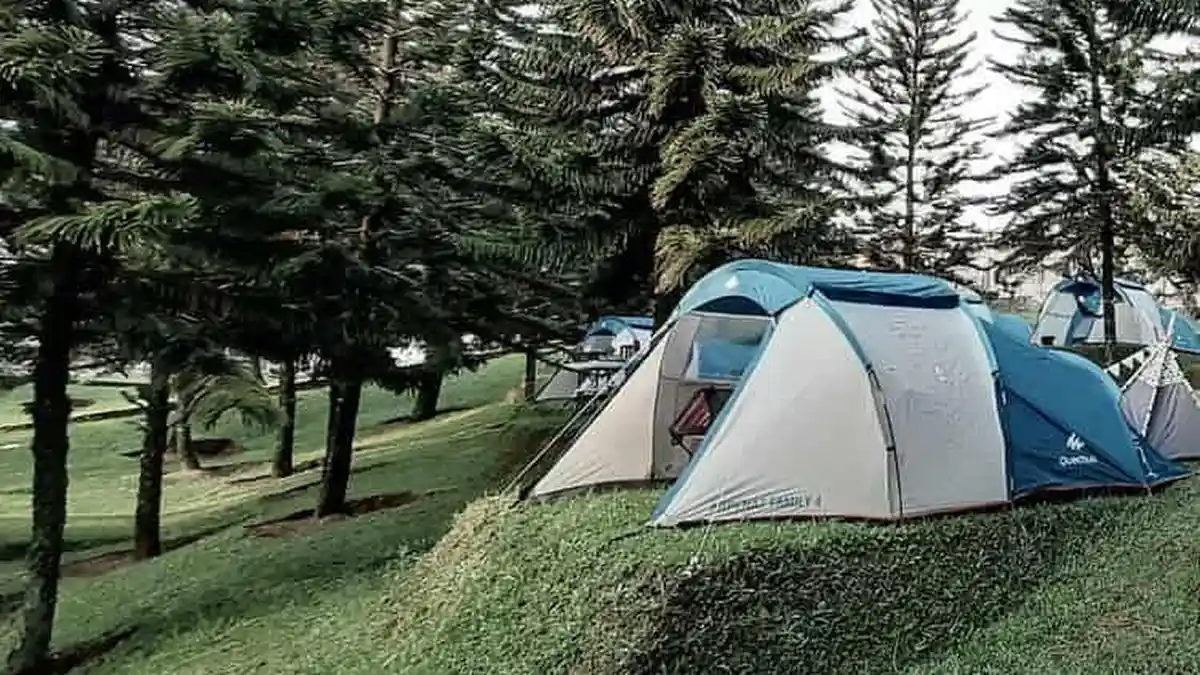 5 Tempat Wisata di Bogor Kawasan Ciapus, Dekat dengan Gunung Halimun Salak