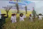Ketua-Komisi-VI-DPR-RI-Anggia-Erma-Rini-saat-panen-padi-di-Desa-Podorejo-Tulungagung.jpg