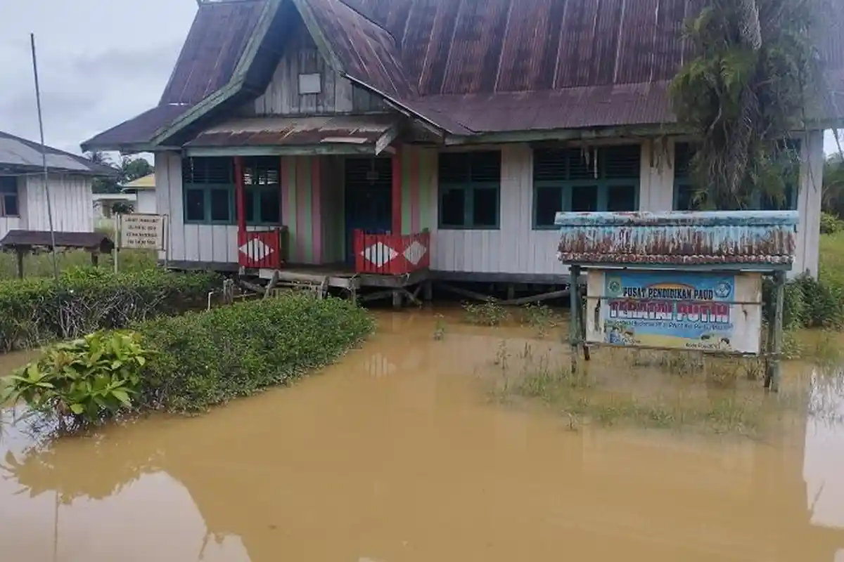 Banjir Kiriman Ancam Permukiman dan Lahan Pertanian Warga di Kecamatan Dendang Tanjab Timur