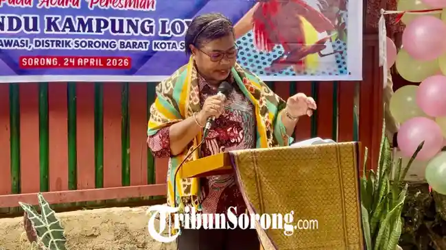 Tribun