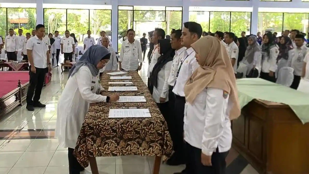 Pendaftaran CPNS 2024 Pemkab Batang Ditutup Besok, Beberapa Formasi Sepi Pendaftar