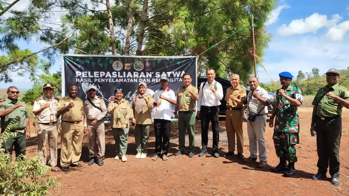 13 Satwa Dilepasliarkan di Cagar Alam Pegunungan Cycloops, Ada Burung Cenderawasih Kuning Kecil