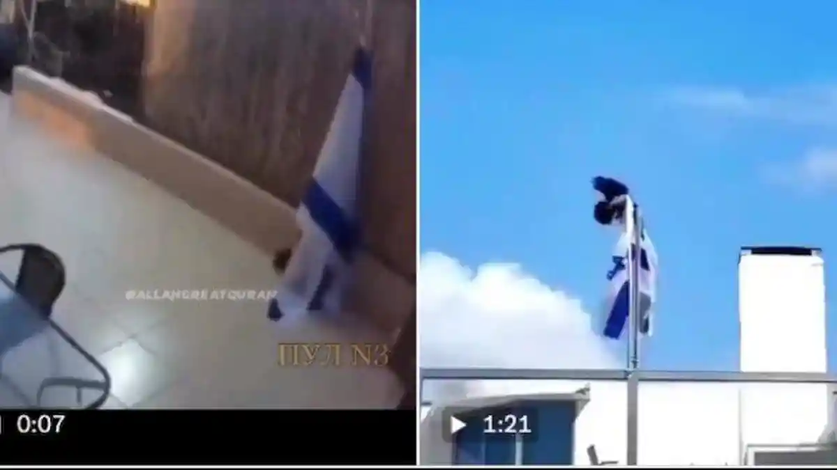 Viral Video Kucing dan Burung Gagak Robek-robek Bendera Israel, Netizen: Mereka Tahu Mana yang Jahat