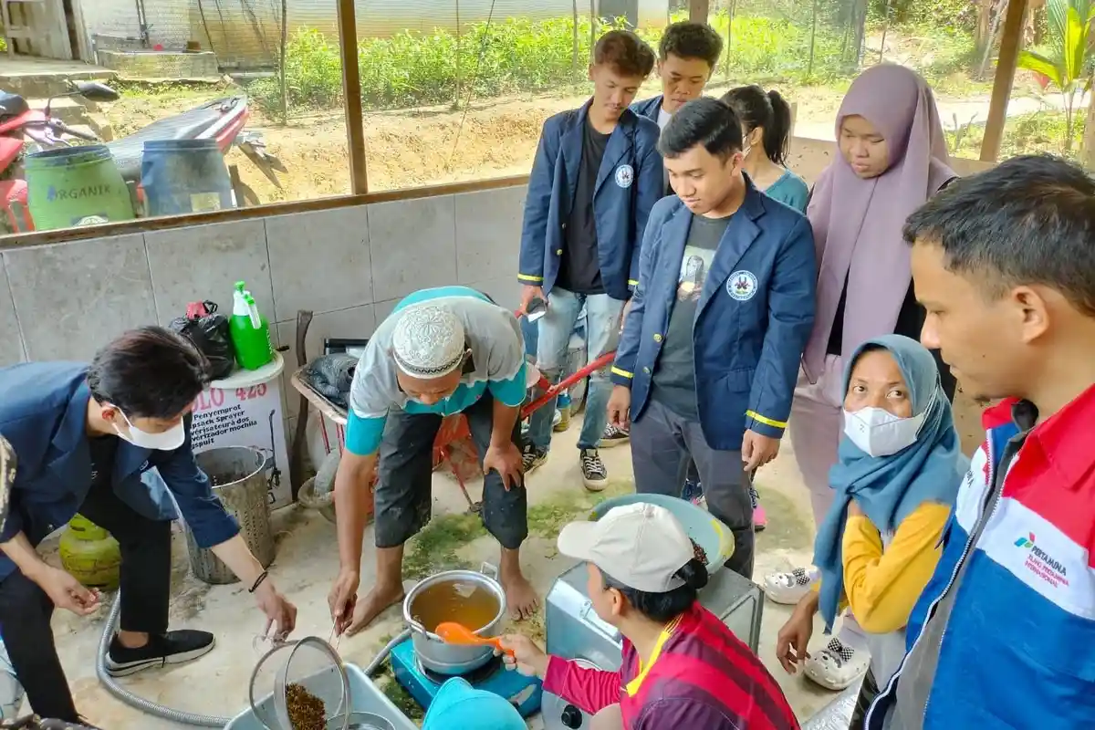 Kolaborasi Dunia Pendidikan, Mahasiswa ITK dan Kelompok Petratonik Buat Maggot Kering