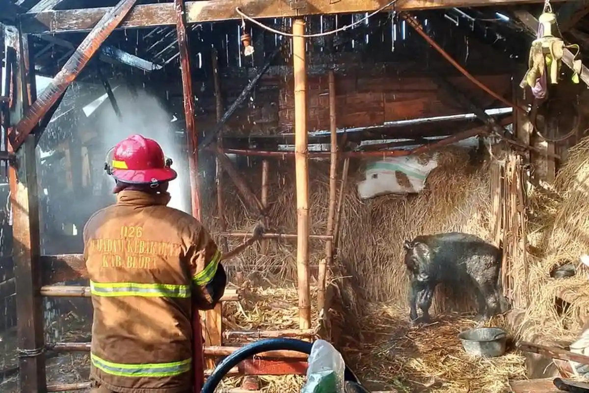Rumah Warga Genjahan Blora Dilahap Si Jago Merah, Sumber Api dari Bediang Ternak