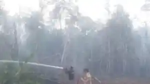 4-jam-api-di-lahan-gambut-bintan-belum-padam.jpg