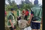 Edukasi-Tim-PPL-Gianyar-saat-memberikan-edukasi-pada-petani-dalam-menghadapi-hama.jpg