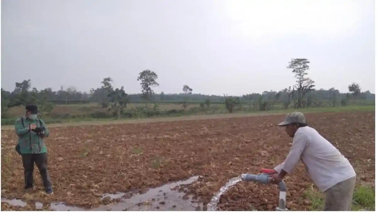 Ketersediaan Air Didukung RJIT Kementan, Petani Muna Genjot Produksi ...