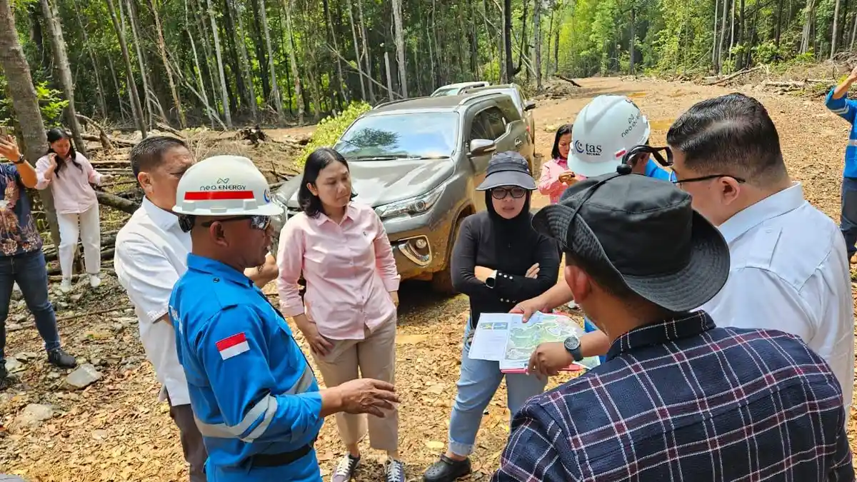 41 Hektare Mangrove di Torete Terancam, Legislator PDIP Soroti Aktivitas PT TAS