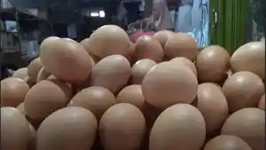 harga-telur-naik-jelang-puasa.jpg