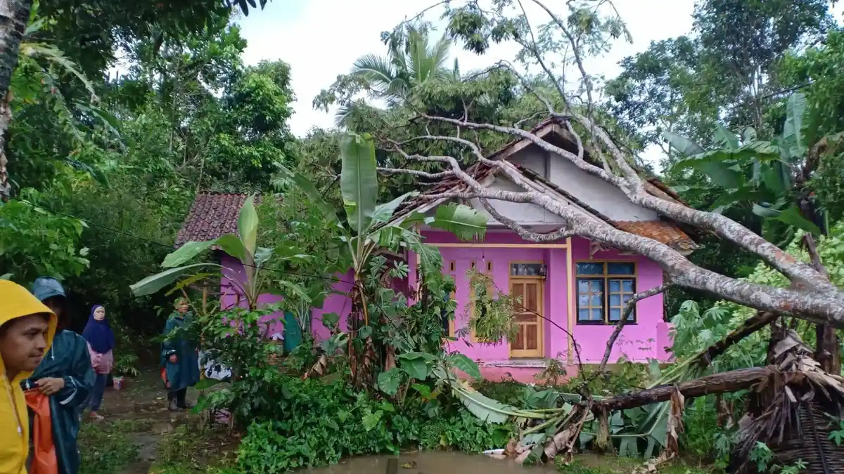 BREAKING NEWS, 4 Rumah Warga di Pamarican Ciamis Tertimpa Pohon Akibat Diterjang Angin Kencang