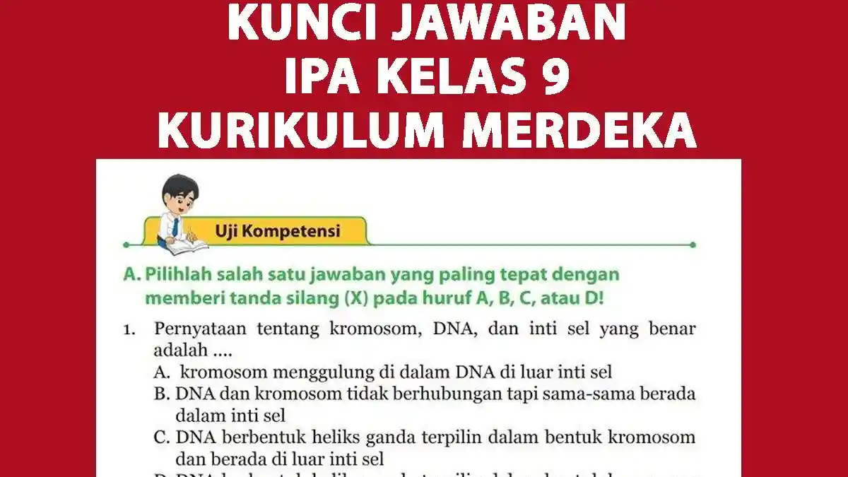 Kunci Jawaban IPA Kelas 9 SMP Halaman 157-159 Kurikulum Merdeka, Uji Kompetensi