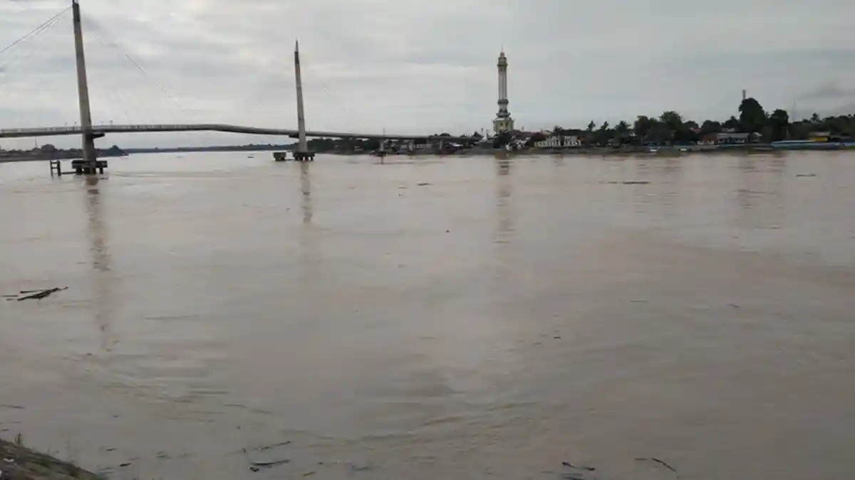 Pasca Hujan Deras, Debit Air Sungai Batanghari Terpantau Mencapai 11,9 Meter