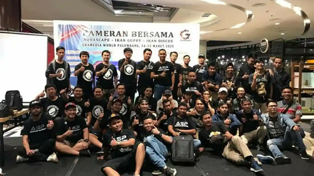 Komunitas  Aquascape Palembang Wadah Tempat Berkumpul  dan Bertukar Pikiran Bagi Penghobi Aquascape