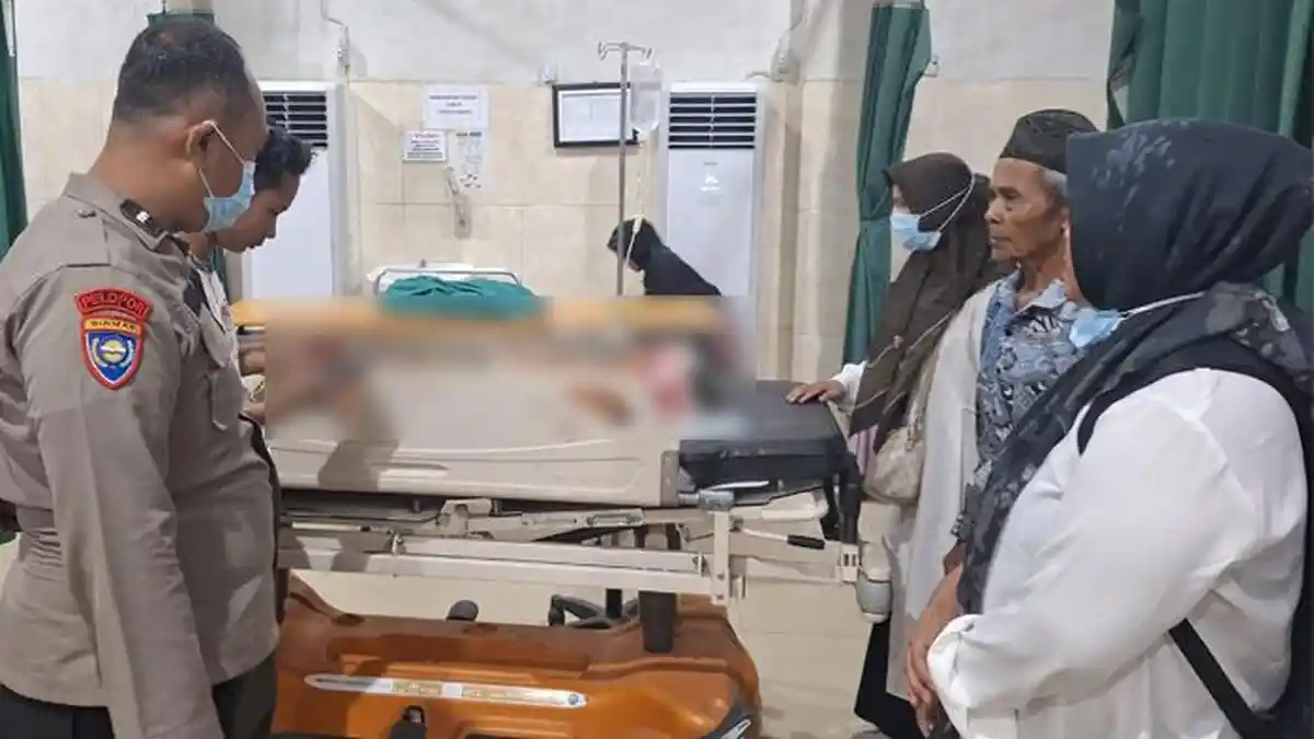 Menjerit Petani Mestong Penuh Luka Diserang Beruang di Kebun Karet Tadi Pagi