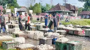 Karet-OKI-harganya-menurun.jpg