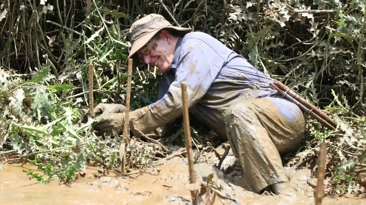 Menjaga Nafas Sungai Tunan, Perpak Jadi Kunci Hidup Bekantan dan ...