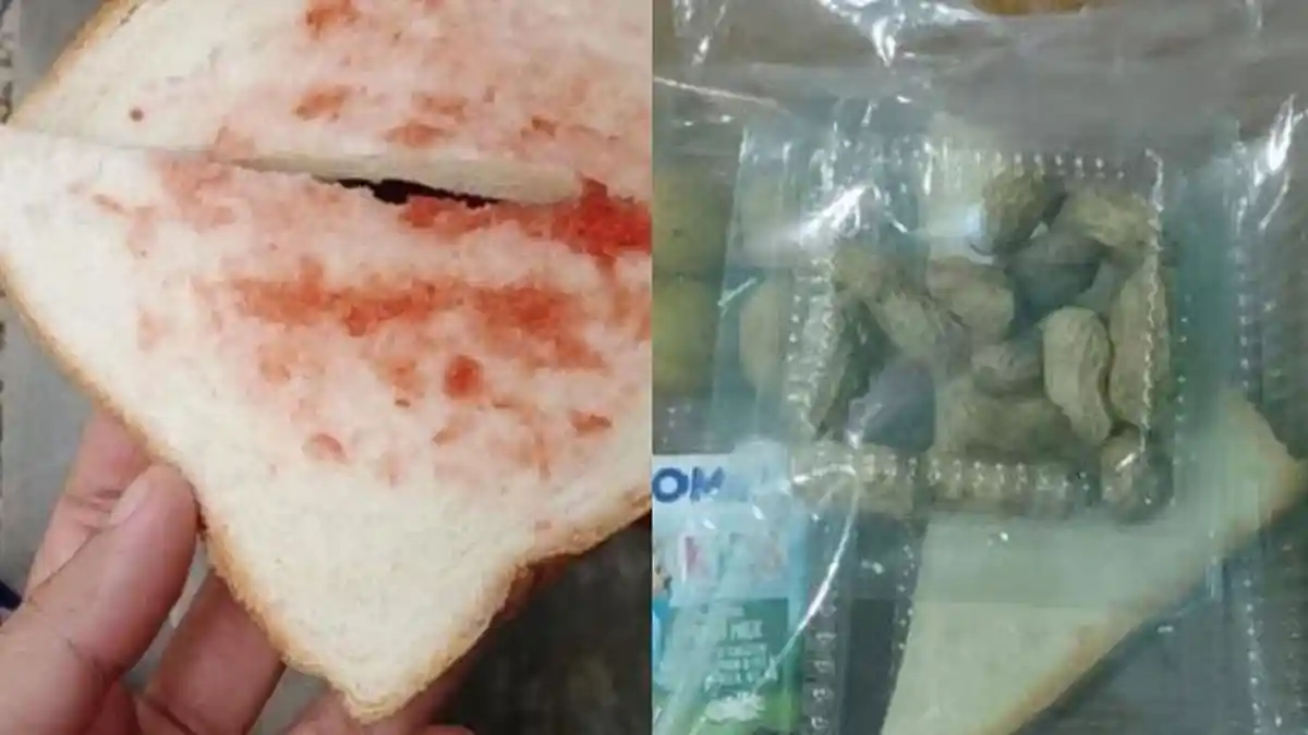 Fakta-fakta Viral Menu MBG Isi Kacang Rebus dan Roti, Siswa Pernah ...