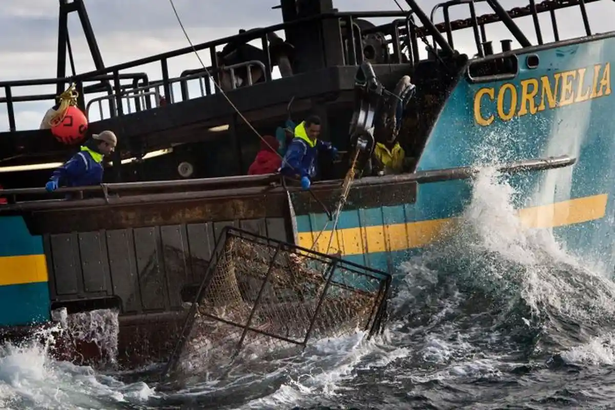 Ini Pekerjaan dengan Gaji Paling Besar, Dalam 5 Hari Bisa Kantongi Rp 5 Miliar, Yakin Mau Kerja Ini?