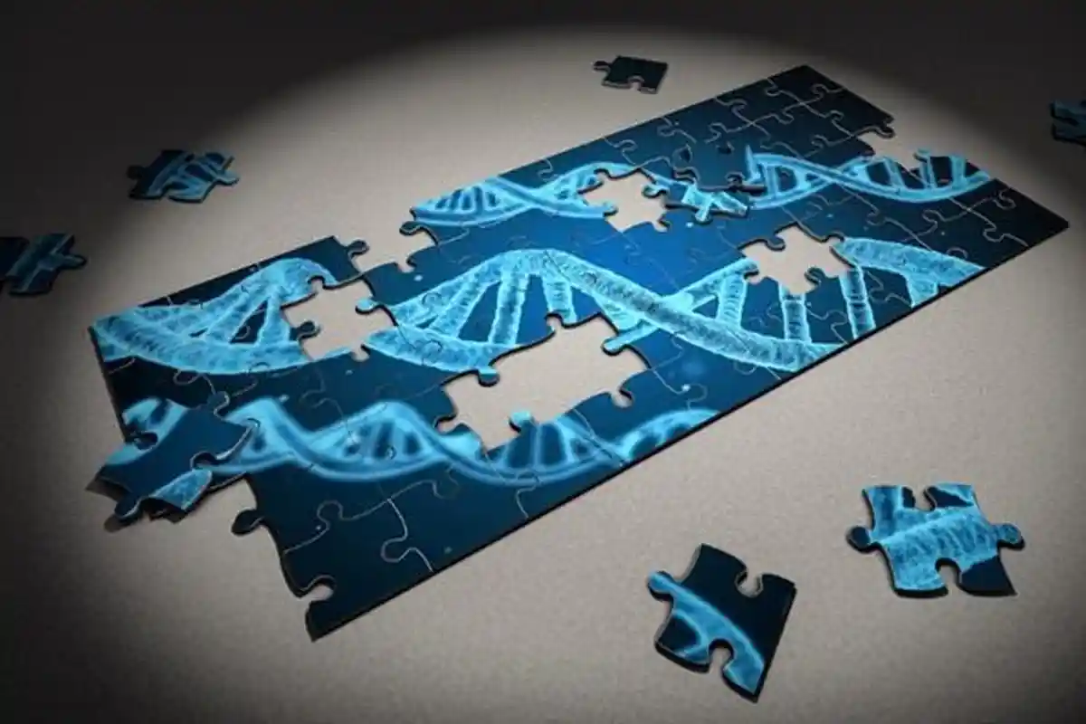 Dilengkapi Kunci Jawaban, Ini Kumpulan Contoh Soal Try Out USBN Biologi Kelas 12 SMA/MA Tahun 2024