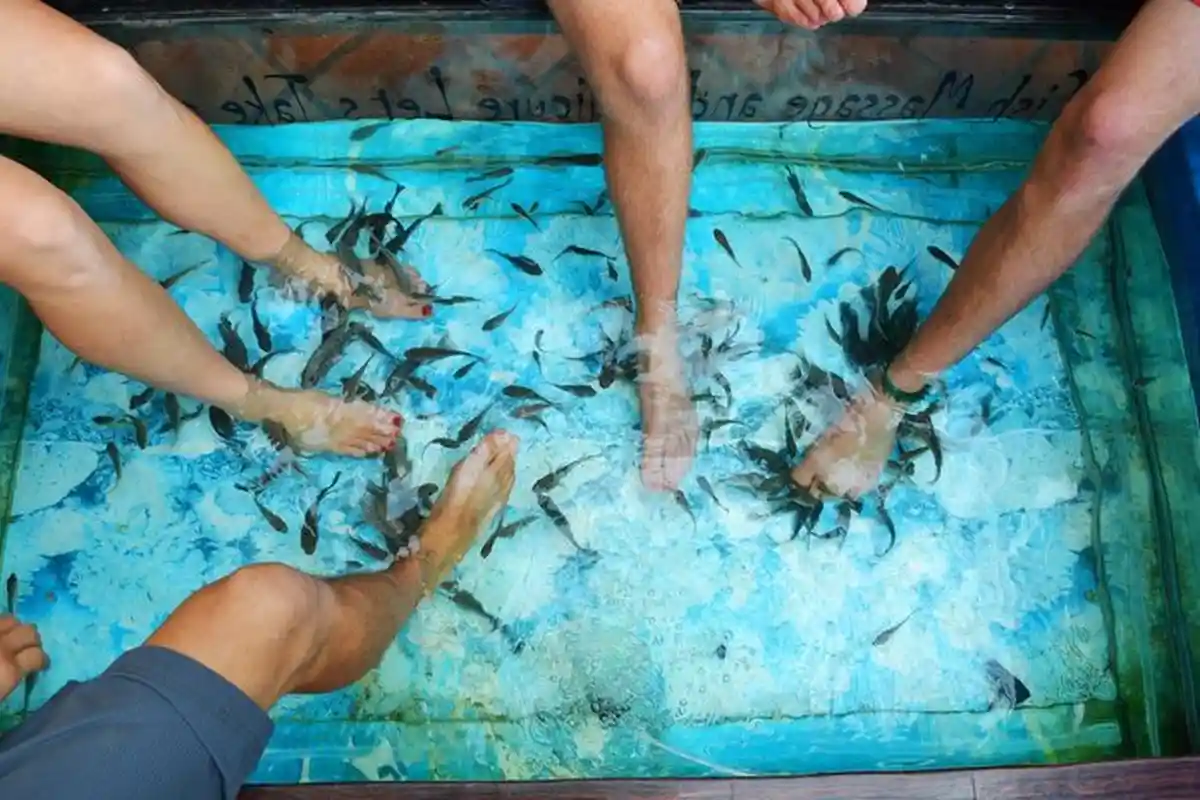 Ikan Sekolam Spa Mati Karena Bau Kaki Pria Ini, Begini Tips Agar Tidak Terjadi Pada Anda