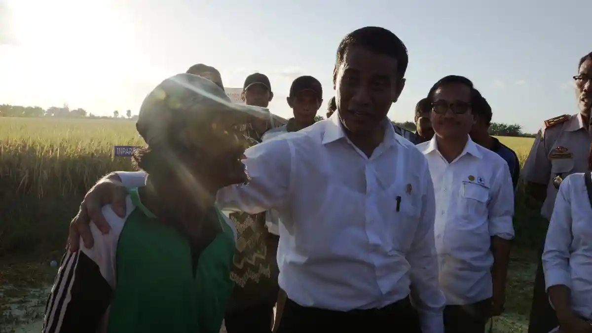 Menteri Pertanian Tegaskan Ketersediaan Beras Cukup Aman