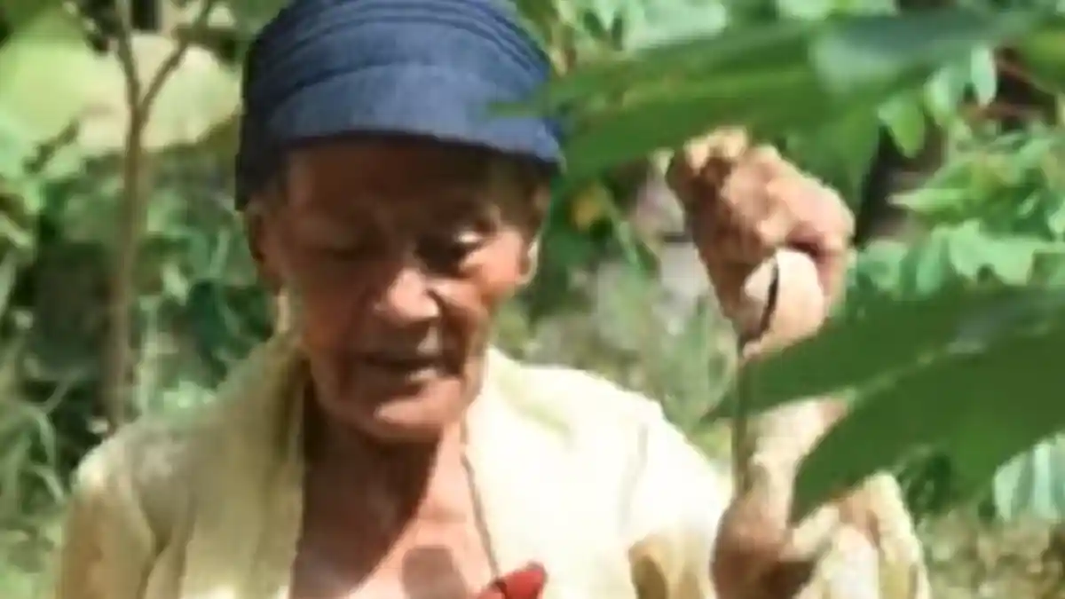 Miris! Nenek Asal Bondowoso Terpaksa Makan Daun karena tak Sanggup Beli Beras