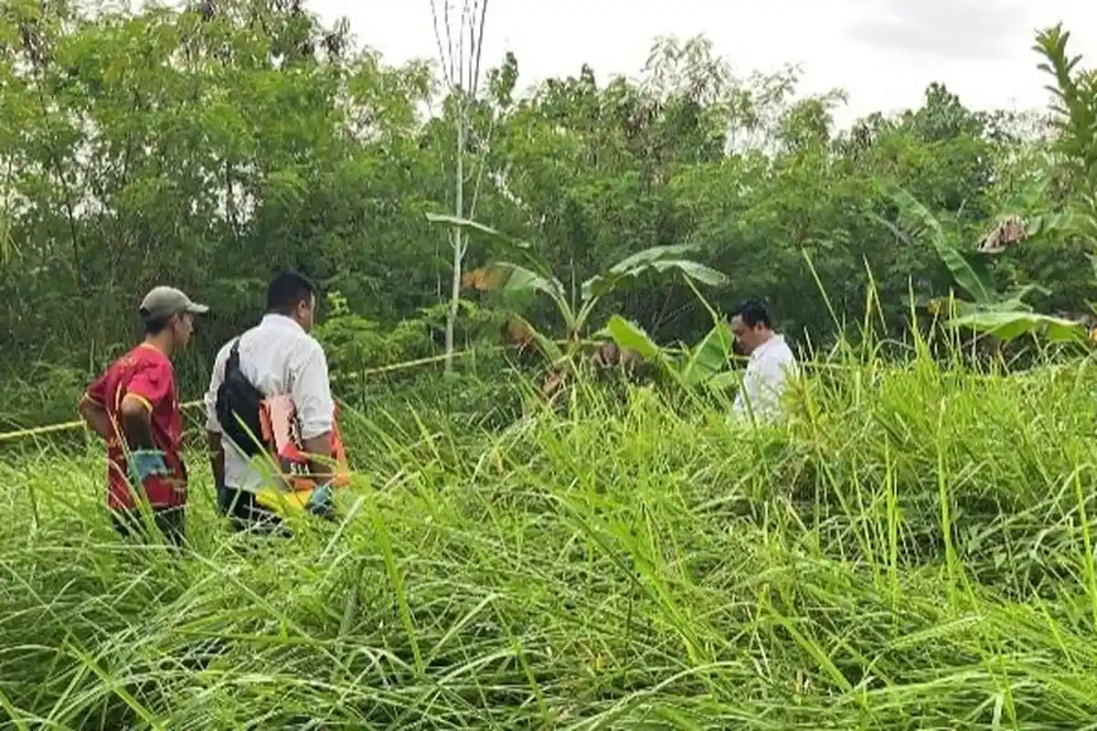 Tukang Kebun Lansia di Tanjungpinang Tewas di Kebun Pisang, Polisi Buka Suara Kematian Sarikin