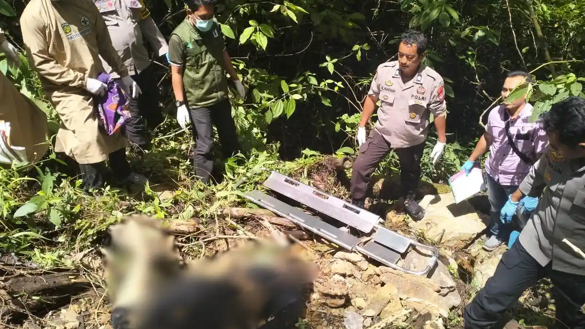 Misteri Kematian Jessica Sollu di Hutan Kasintuwu, Kapolda Sulsel Terjunkan Tim Khusus