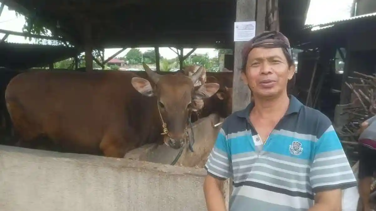 Peternak Hewan Kurban Ucap Terima Kasih atas Pemberian Vaksin oleh Pemkot Bandar Lampung