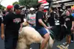 Tradisi Arak-arakan Hewan Kurban Di Malang