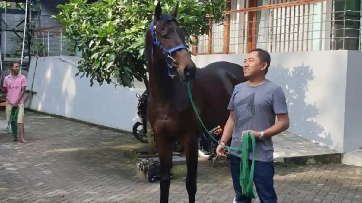 Ismail M.Hasan, Pemilik R4ya Stable Pasuruan: PP Pordasi Harus Introspeksi