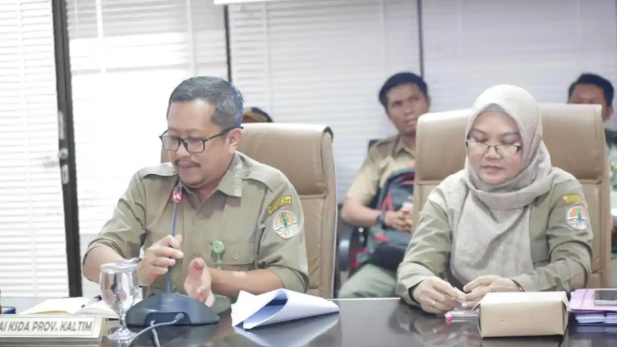 BKSDA Kaltim Sarankan Konservasi Ex Situ untuk Buaya Riska