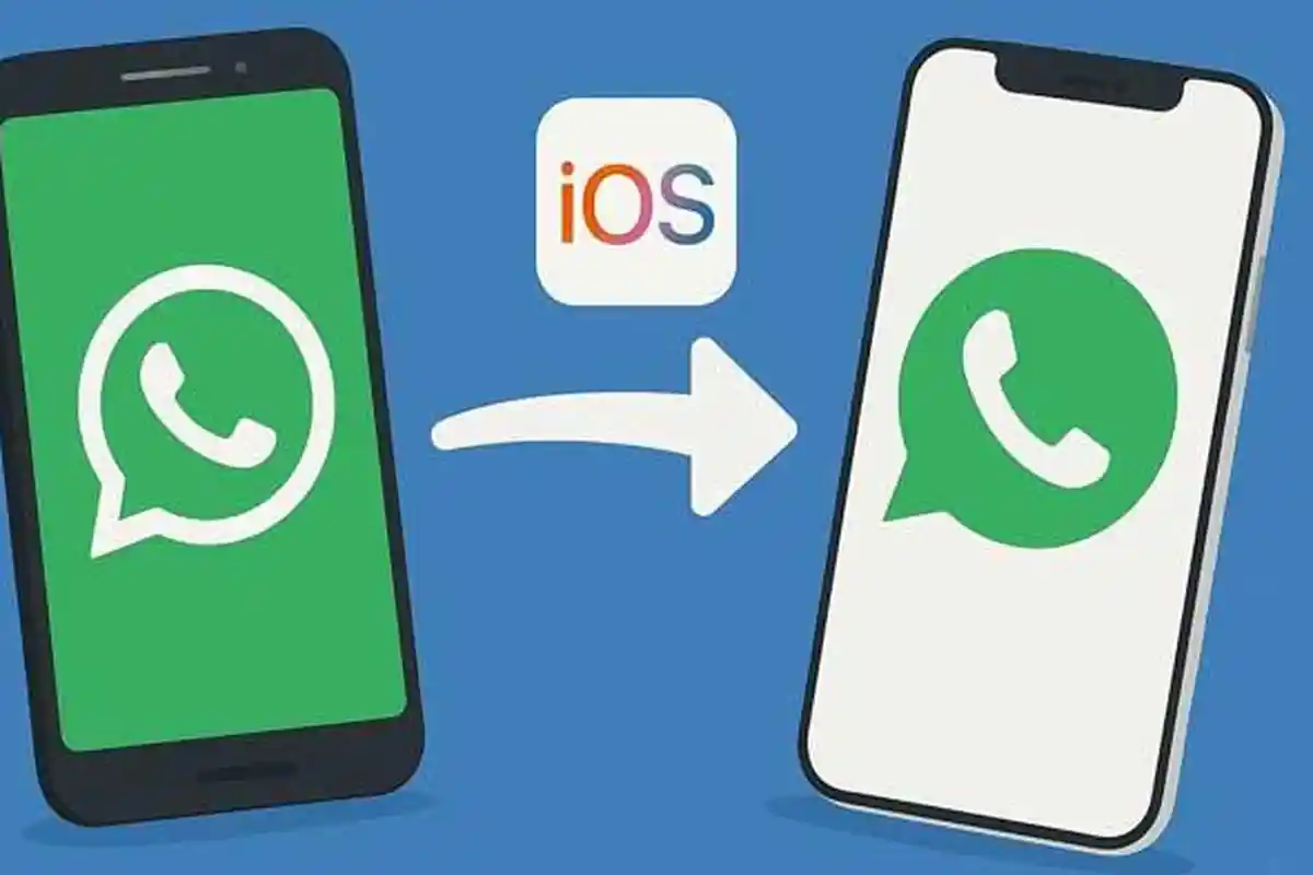 Trik WhatsApp Cara Memindahkan WA dari Android ke iPhone, Mudah dan Jarang Diketahui Orang