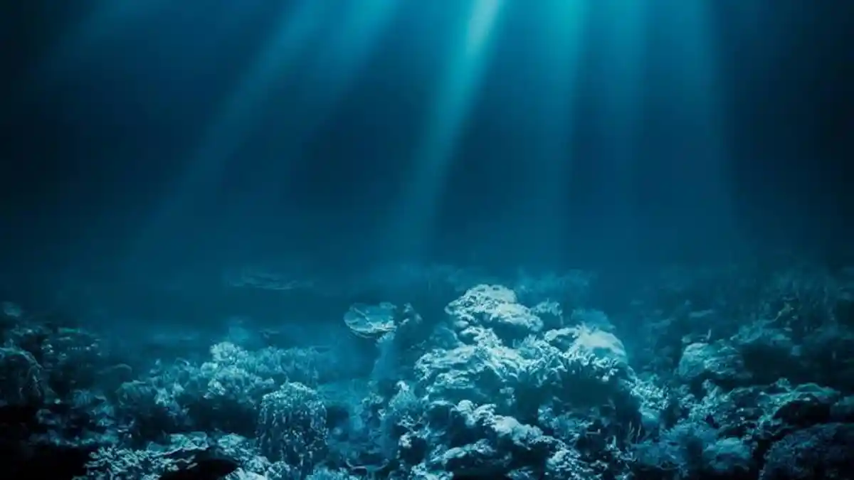 Tema Hari Laut Sedunia 2024, Berikut Sejarah Peringatan World Oceans Day