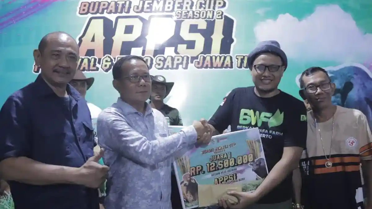 Sapi Faisal Asal Mojokerto Juara di Kontes Sapi Bupati Jember Cup 2025, Bobot Ternak 1,4 Ton
