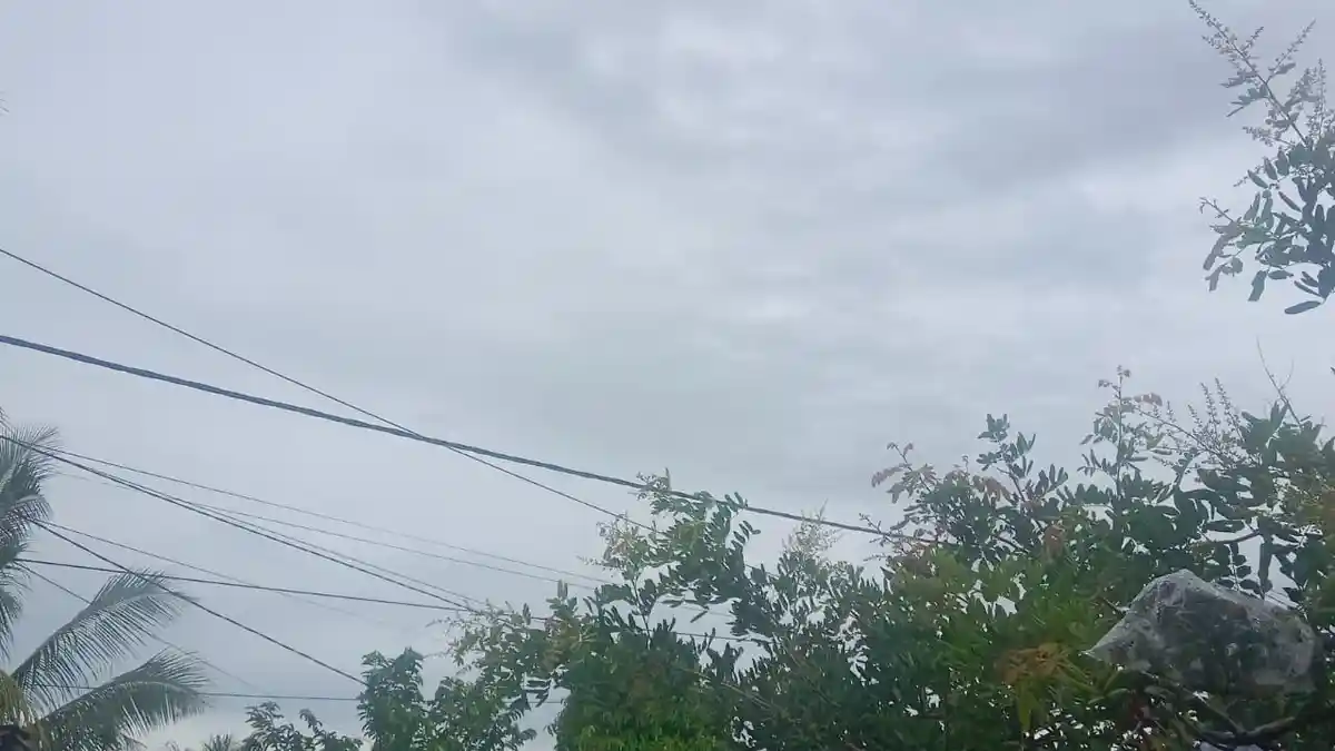 Prakiraan Cuaca Seluma Senin 24 November 2025, Potensi Hujan