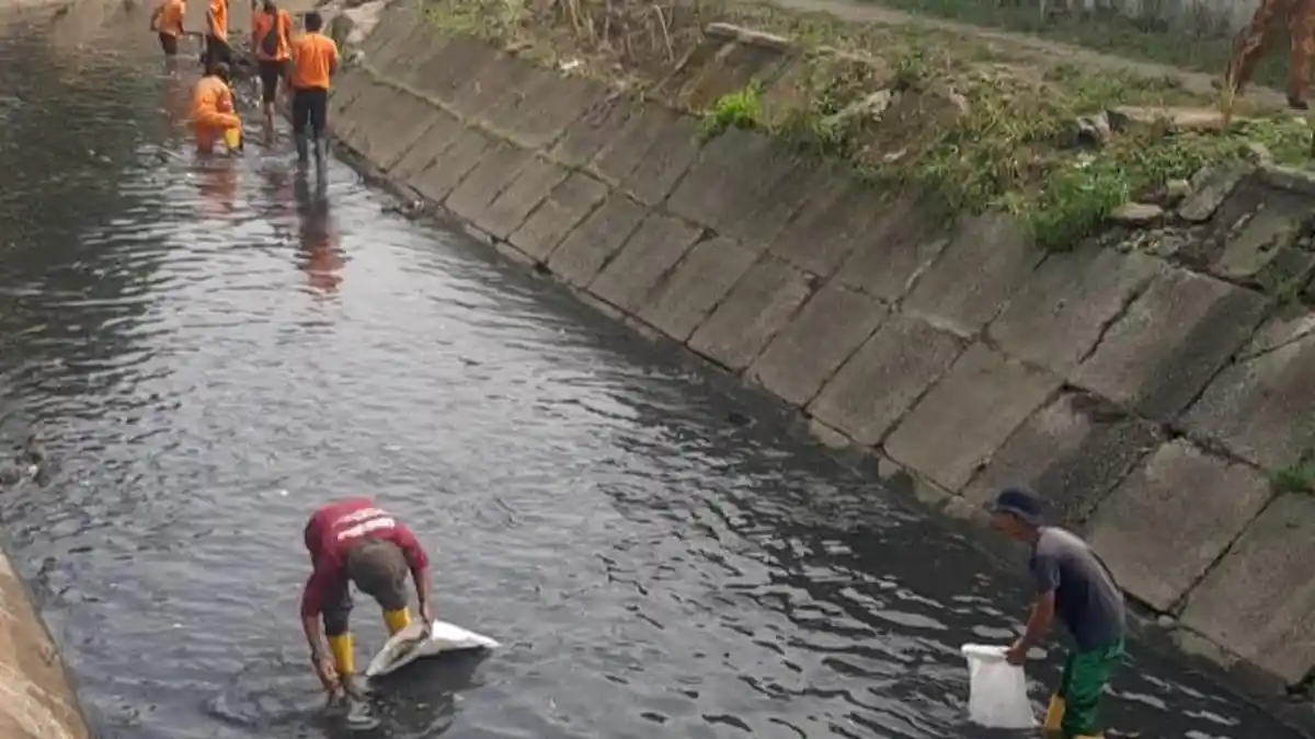 Warga Buang Sampah ke Sungai Sei Putih, Bobby Nasution Sentil Camat Medan Petisah 