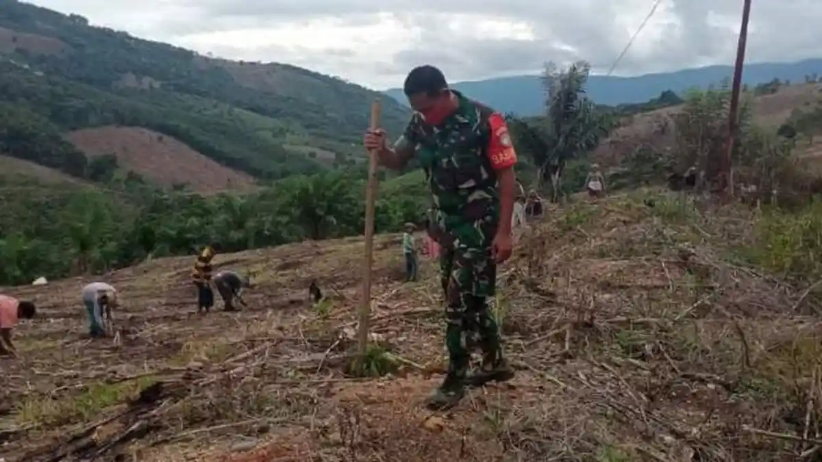 Babinsa Posramil Leuser Aceh Tenggara Bantu Petani Tanam Jagung di Desa Bukit Meriah