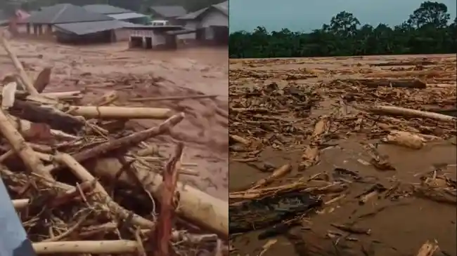 KLH Segel dan Beri Tanda Pengawasan Korporasi di Sekitar DAS Batang Toru 