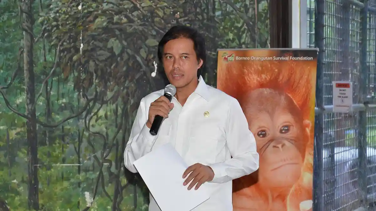 DPR: Orangutan Harus Mendapat Penanganan Secara Serius