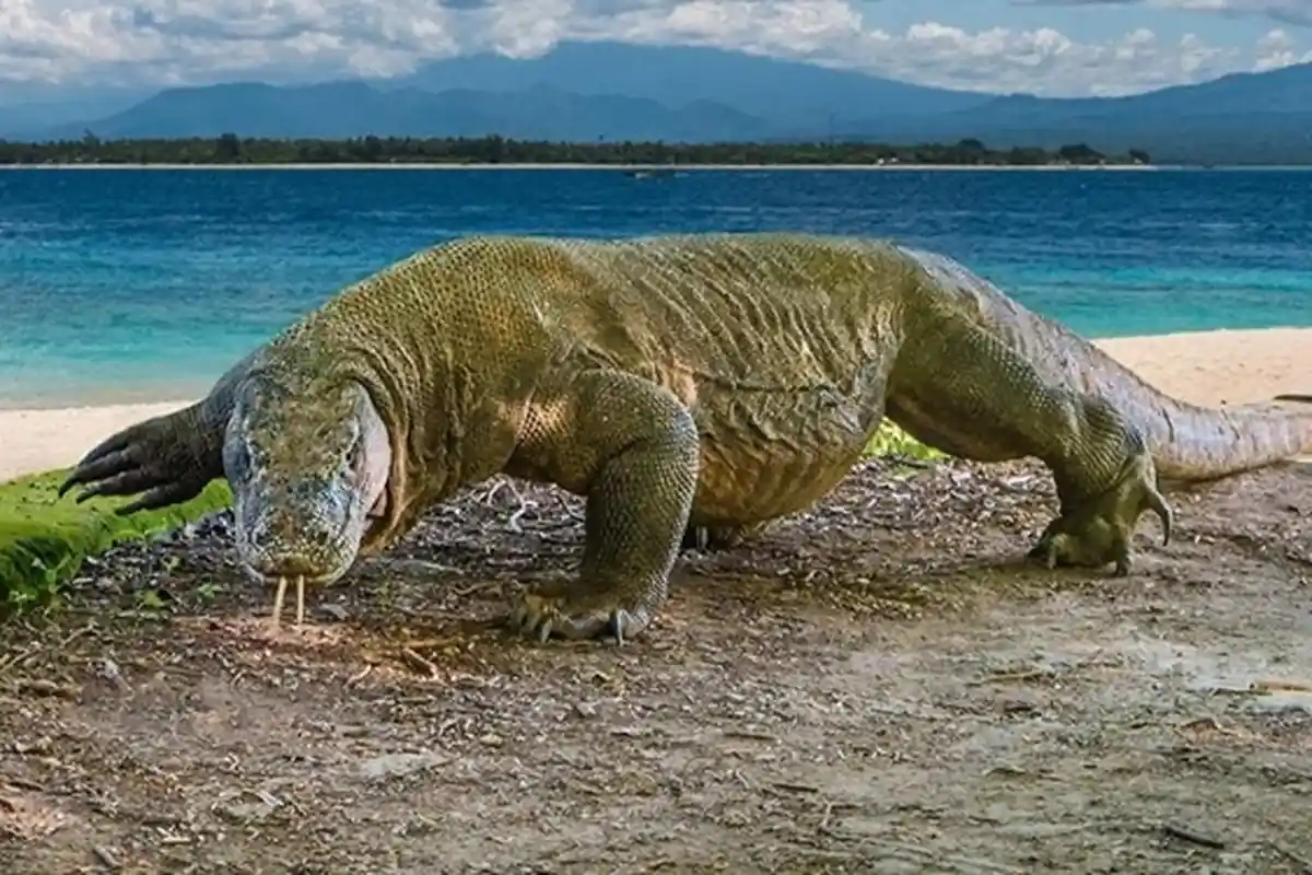 6 Hewan di Indonesia yang Terancam Punah, Jumlah Menyusut karena Setia dengan Pasangan hingga Diburu