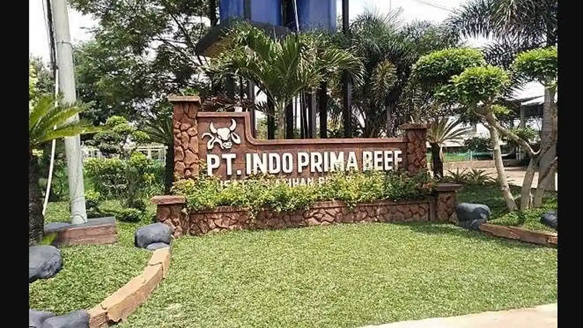 Profil PT Indo Prima Beef, Peternakan yang Dikunjungi Anies Baswedan Saat di Lampung