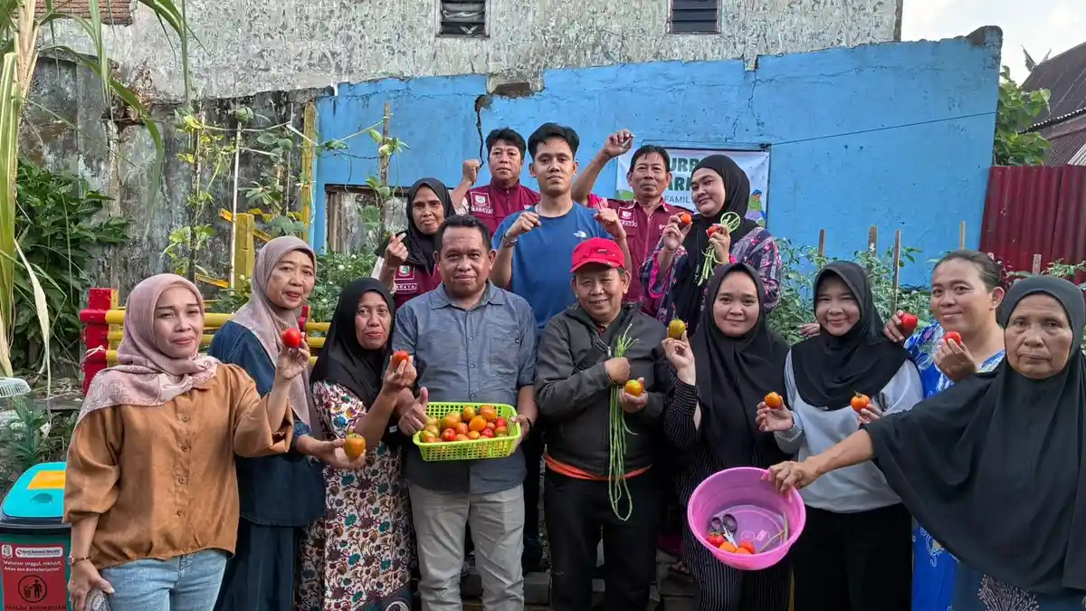 Warga Kelurahan Baraya Makassar Nikmati Tomat Urban Farming Hasil Panen RT/RW - Tribun-timur.com