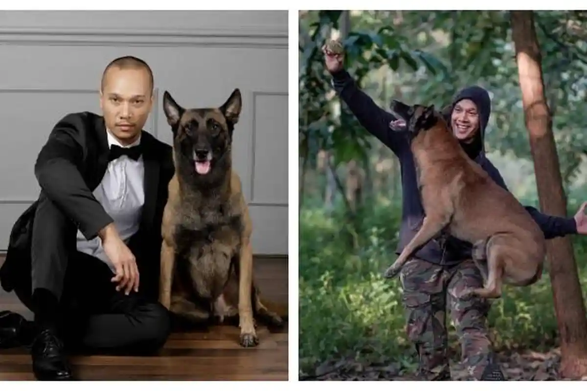 Deretan Fakta ART Tewas Diserang Anjing Majikan, Polisi Satwa : Tergantung yang Merawat