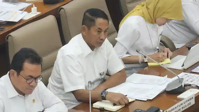 Kronologi Lengkap Letjen Novi Helmy, dari Dirut Bulog Kembali ke Dinas Prajurit TNI