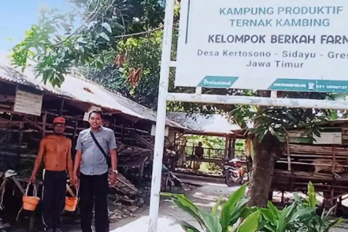 Manfaatkan TKD Untuk Beternak Kambing, Pemdes di Gresik Beri Tambahan Penghasilan Untuk Masyarakat