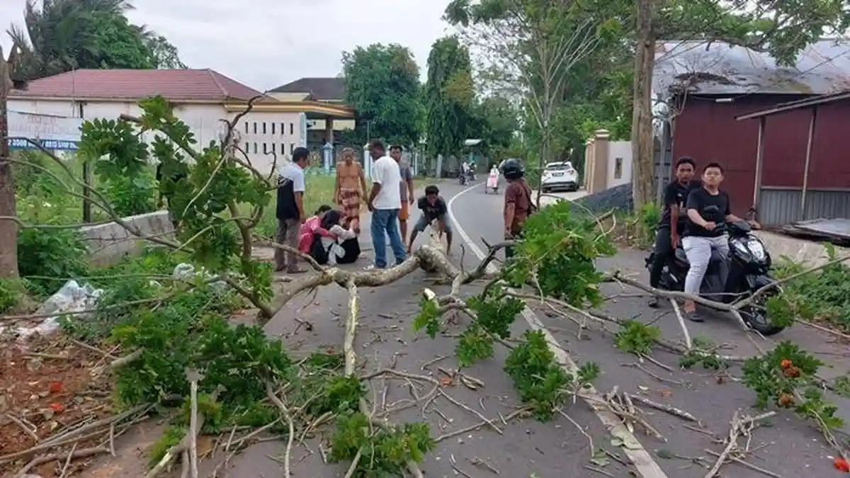 Dahan Pohon Timpa Pengguna Jalan Karias HSU Ini Hingga Terluka