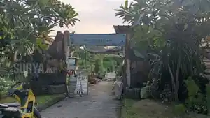 Suasana-pertanian-di-Kosagrha-Lestari-Rungkut-Surabaya.jpg